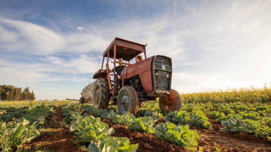 EU4AGRI: JAVNI POZIV POTENCIJALNIM KORISNICIMA BESPOVRATNIH SREDSTAVA ZA PODRŠKU INVESTICIJAMA U PRIMARNU POLJOPRIVREDNU PROIZVODNJU U BIH
